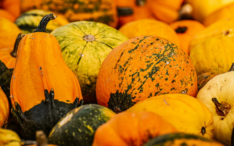 A pile of orange pumpkins