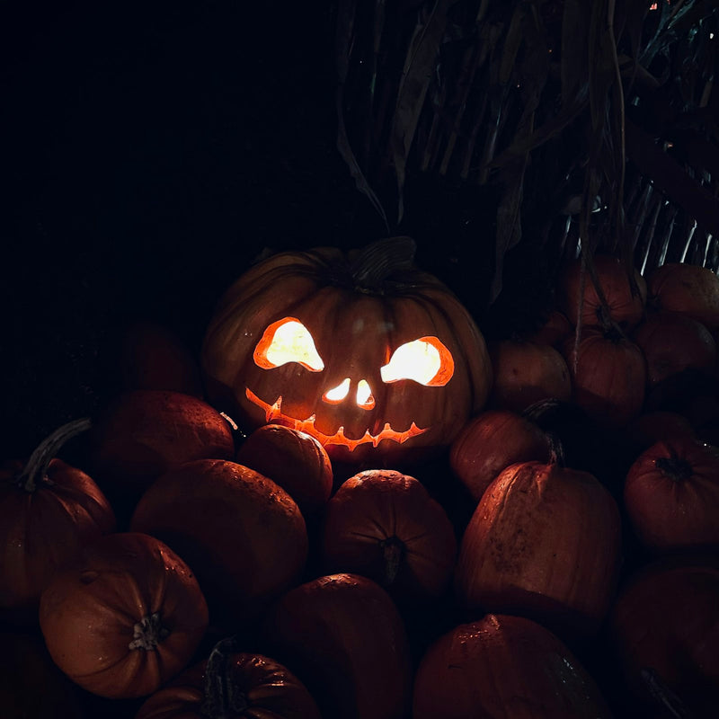 Carved pumpkin with glowing eyes among pumpkins